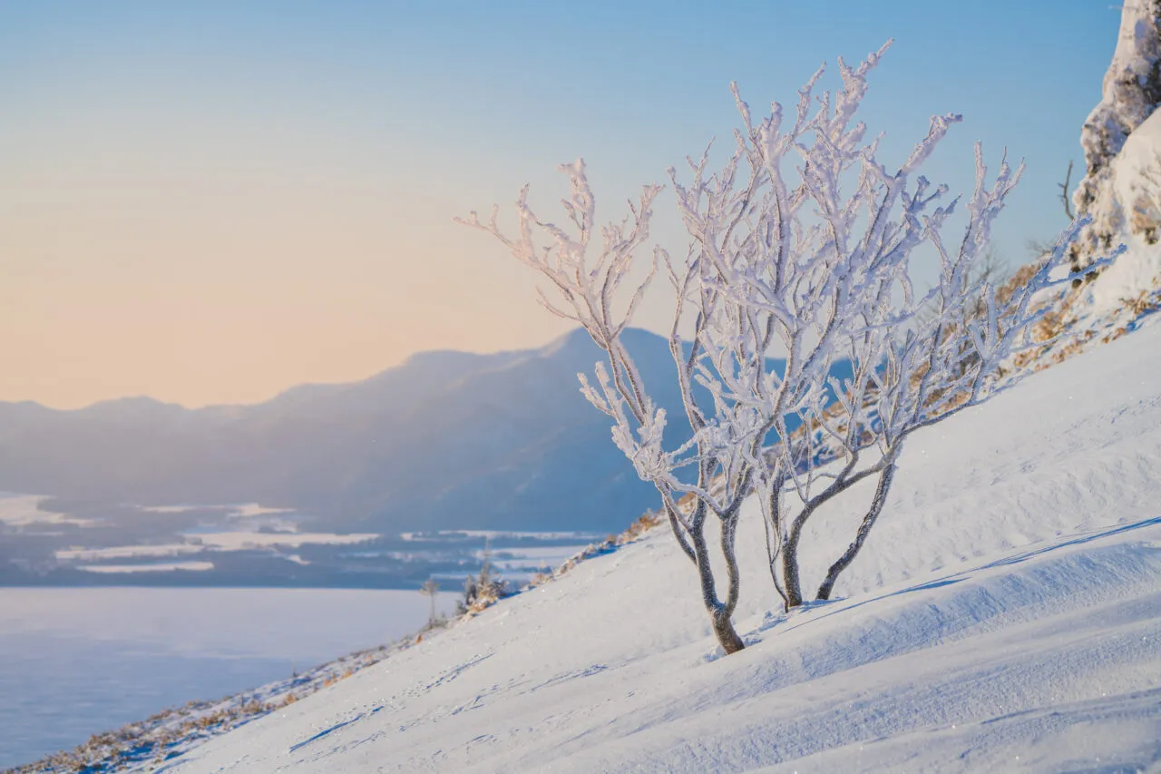Frozen | Eastern Hokkaido, Japan